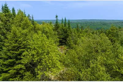 65 Lookout Mountain Road, East Machias, ME 04630 - Photo 19