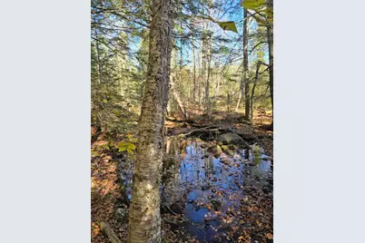 00 Wilson Road, Atkinson, ME 04426 - Photo 15