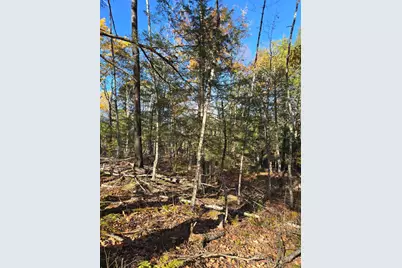 00 Wilson Road, Atkinson, ME 04426 - Photo 3