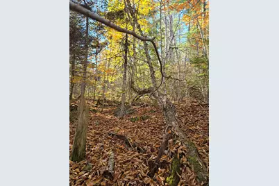 00 Wilson Road, Atkinson, ME 04426 - Photo 25