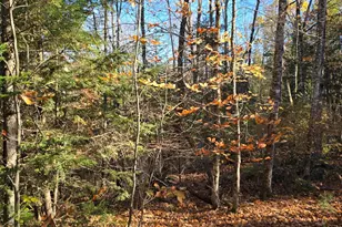 00 Wilson Rd, Atkinson, ME 04426 - Photo 1