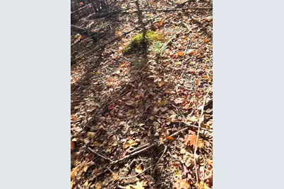 00 Wilson Road, Atkinson, ME 04426 - Photo 17
