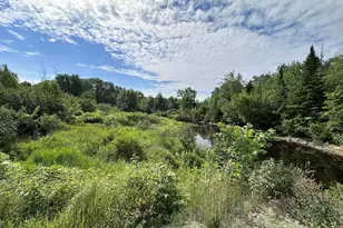 M1L75A South Lagrange Rd, Lagrange, ME 04453 - Photo 1