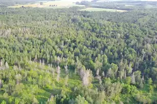 297 Washburn Rd, Presque Isle, ME 04769 - Photo 1