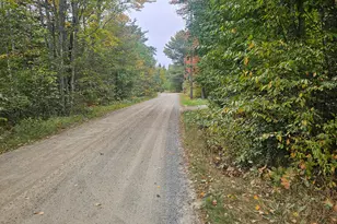 206 Morrison Farm Rd, Mariaville, ME 04605 - Photo 1