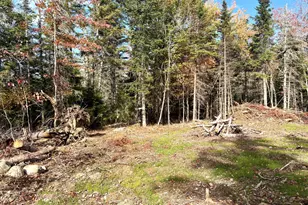 Xx S Meadow Rd, Perry, ME 04667 - Photo 1