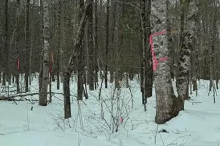Lot 1 Willow Way, Jefferson, ME 04348 - Photo 1