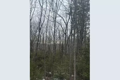 Lot 31 Weeman Road, Baldwin, ME 04091 - Photo 1