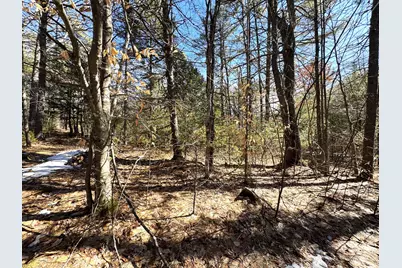 Lot 5 Lords Hill Road, Brownfield, ME 04010 - Photo 1