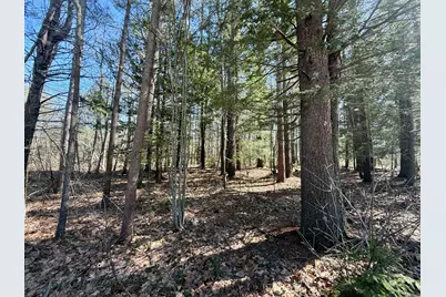 Lot 31 Pequawket Trail, Hiram, ME 04041 - Photo 1