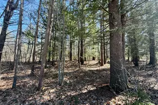 Lot 31 Pequawket Trail, Hiram, ME 04041 - Photo 1