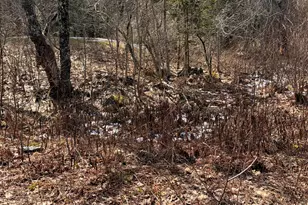 Lot 9-1 Christian Ridge Rd, Ellsworth, ME 04605 - Photo 1