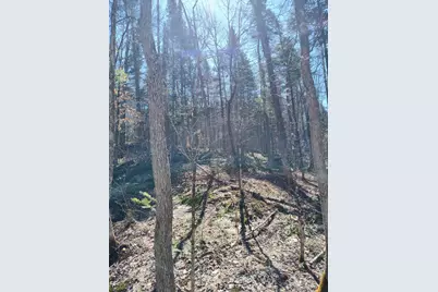 Lot 163 Page Hill Road, Ripley, ME 04930 - Photo 1