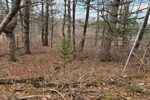 Lot 1 Maple St, Farmingdale, ME 04344 - Photo 1