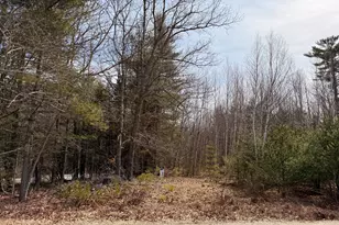 Lot #5 Mohawk Rd, Enfield, ME 04493 - Photo 1