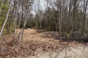 Lot #6 Mohawk Rd, Enfield, ME 04493 - Photo 1