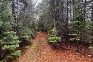 S 001 Plan 2 Lot 16 1 Long Falls Dam Rd, Limington, ME 04961 - Photo 1