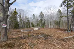 Lot # 0 Beech Hill Rd, Northport, ME 04849 - Photo 1