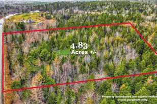 0 Swamp Rd, Gouldsboro, ME 04607 - Photo 1