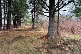 153 Cottage St, Lewiston, ME 04240 - Photo 1