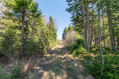 840 Cutler Rd. Road, Machiasport, ME 04655 - Photo 1