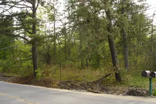 Lot 5 Newfield Rd, Shapleigh, ME 04076 - Photo 1
