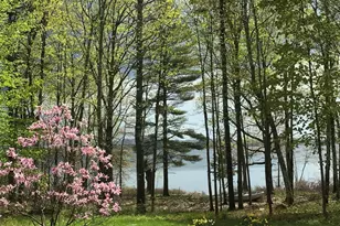 217 Leadbetter Rd, Wayne, ME 04284 - Photo 1