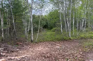 Lot #8 Thayer Rd, Waltham, ME 04605 - Photo 1