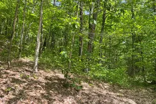 0 Edes Falls Rd, Harrison, ME 04040 - Photo 1