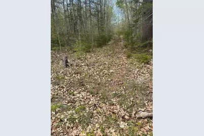 Lot 3 Morse District Road, Steuben, ME 04680 - Photo 1