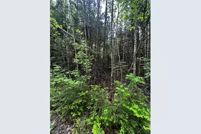 Lot 9-3 Lilly Drive, Newport, ME 04953 - Photo 1