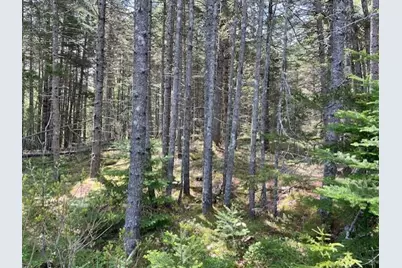 16 Woody Lane, Cushing, ME 04563 - Photo 1
