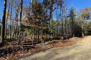 Tbd Lagueux Ln, Waterboro, ME 04030 - Photo 1