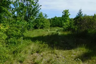 267 Ridge Rd, Robbinston, ME 04671 - Photo 1