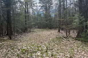 0 Hodsdon Rd, Pownal, ME 04069 - Photo 1