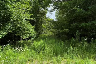 # Ledge Hill Rd, Corinth, ME 04427 - Photo 1