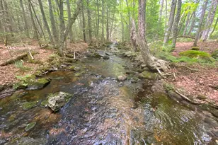 783 Half Township Rd, Lincoln, ME 04457 - Photo 1