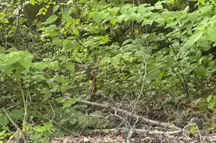 Lot 28 Lakeshore Dr, Belgrade, ME 04918 - Photo 1