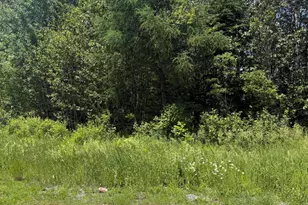M10L18-9 Milo/Hughes Rd, Sebec, ME 04481 - Photo 1