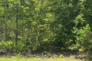 Lot 1 Young's Way, Standish, ME 04084 - Photo 1