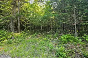 Lot 2-A Rips Rd, Brownville, ME 04414 - Photo 1