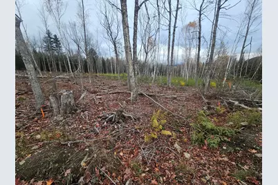 117 & 3-54 Big Snow (M12L117 M16L3-54) Way, Rangeley, ME 04970 - Photo 1