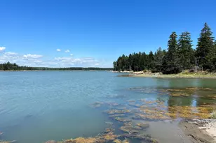 86 Back Shore Rd, Steuben, ME 04680 - Photo 1