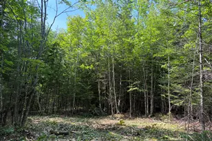 Lot 5 Holley Rd, Farmington, ME 04938 - Photo 1