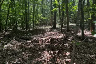 64 Natanis Ridge Cir, Wells, ME 04090 - Photo 1