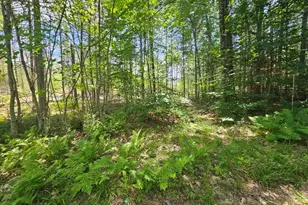19A Quaker Ridge Rd, Leeds, ME 04263 - Photo 1