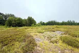 Lot 12A Us-1, Gouldsboro, ME 04607 - Photo 1