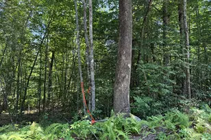 R2 L8-3 Ladd Rd, Mercer, ME 04347 - Photo 1