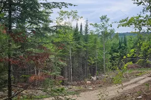 22-03 Rowell Mountain Rd, Solon, ME 04979 - Photo 1