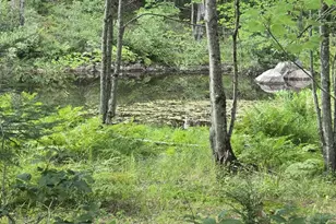 124 River Rd, Sumner, ME 04292 - Photo 1